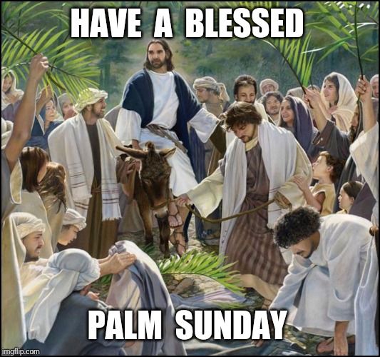 Palm Sunday | HAVE  A  BLESSED; PALM  SUNDAY | image tagged in palm sunday | made w/ Imgflip meme maker