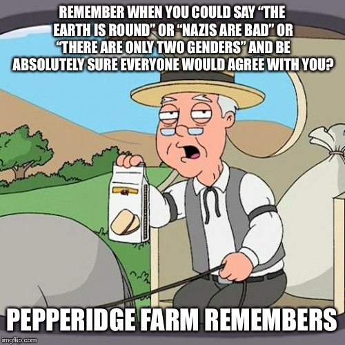 Pepperidge Farm Remembers | REMEMBER WHEN YOU COULD SAY “THE EARTH IS ROUND” OR “NAZIS ARE BAD” OR “THERE ARE ONLY TWO GENDERS” AND BE ABSOLUTELY SURE EVERYONE WOULD AGREE WITH YOU? PEPPERIDGE FARM REMEMBERS | image tagged in memes,pepperidge farm remembers | made w/ Imgflip meme maker