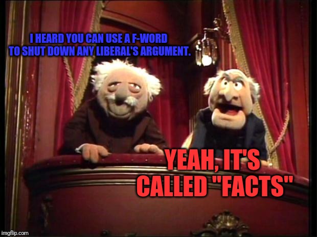 Statler and Waldorf | I HEARD YOU CAN USE A F-WORD TO SHUT DOWN ANY LIBERAL'S ARGUMENT. YEAH, IT'S CALLED "FACTS" | image tagged in statler and waldorf | made w/ Imgflip meme maker