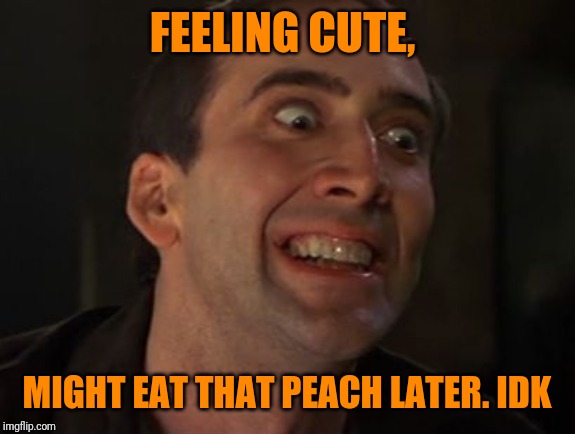Crazy Nick Cage | FEELING CUTE, MIGHT EAT THAT PEACH LATER. IDK | image tagged in crazy nick cage | made w/ Imgflip meme maker