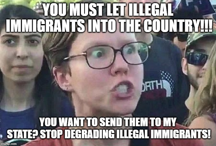 Triggered Liberal | YOU MUST LET ILLEGAL IMMIGRANTS INTO THE COUNTRY!!! YOU WANT TO SEND THEM TO MY STATE? STOP DEGRADING ILLEGAL IMMIGRANTS! | image tagged in triggered liberal | made w/ Imgflip meme maker