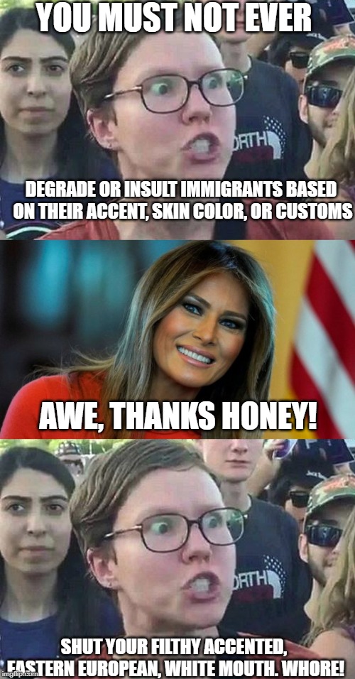 The One Immigrant the Left Doesn't Stand Up For | YOU MUST NOT EVER; DEGRADE OR INSULT IMMIGRANTS BASED ON THEIR ACCENT, SKIN COLOR, OR CUSTOMS; AWE, THANKS HONEY! SHUT YOUR FILTHY ACCENTED, EASTERN EUROPEAN, WHITE MOUTH. WHORE! | image tagged in triggered liberal,melania,liberal hypocrisy,politics,do you need help | made w/ Imgflip meme maker