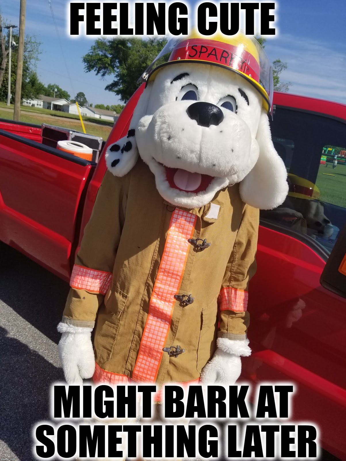 Feeling Cute | FEELING CUTE; MIGHT BARK AT SOMETHING LATER | image tagged in firefighter,fire,dog,dogs,funny dogs,firefighters | made w/ Imgflip meme maker