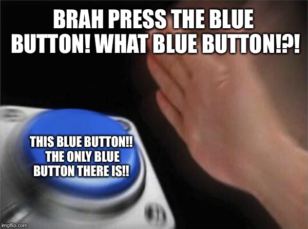 Blank Nut Button Meme | BRAH PRESS THE BLUE BUTTON! WHAT BLUE BUTTON!?! THIS BLUE BUTTON!! THE ONLY BLUE BUTTON THERE IS!! | image tagged in memes,blank nut button | made w/ Imgflip meme maker