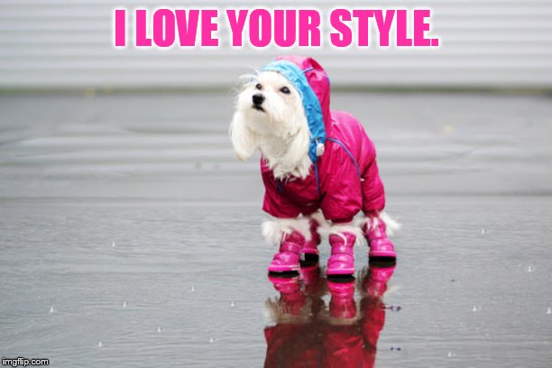 I LOVE YOUR STYLE. | made w/ Imgflip meme maker