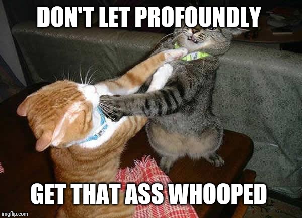 Two cats fighting for real | DON'T LET PROFOUNDLY; GET THAT ASS WHOOPED | image tagged in two cats fighting for real | made w/ Imgflip meme maker