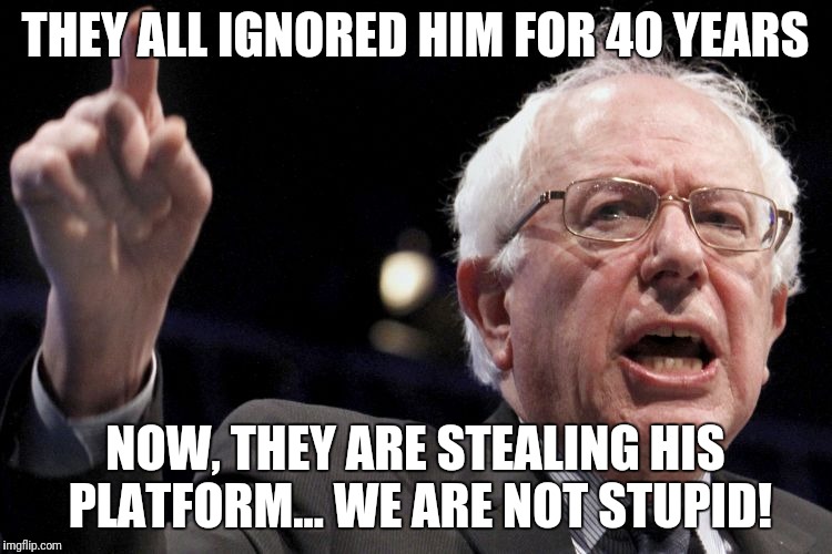 Bernie Sanders | THEY ALL IGNORED HIM FOR 40 YEARS; NOW, THEY ARE STEALING HIS PLATFORM... WE ARE NOT STUPID! | image tagged in bernie sanders | made w/ Imgflip meme maker