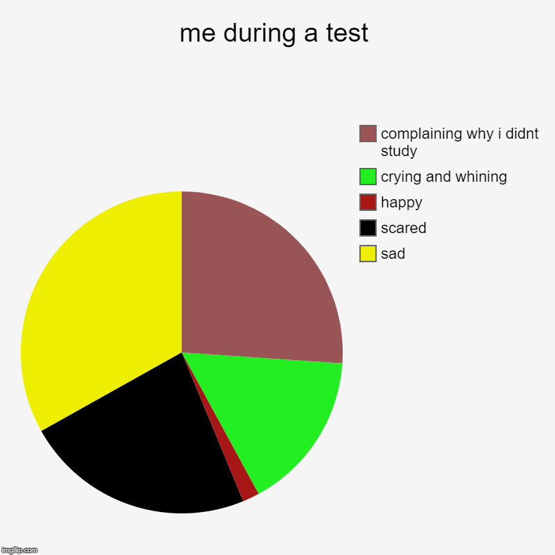 me during a test | sad, scared, happy, crying and whining, complaining why i didnt study | image tagged in charts,pie charts | made w/ Imgflip chart maker