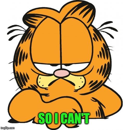 Garfield | SO I CAN'T | image tagged in garfield | made w/ Imgflip meme maker