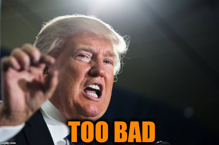 donald trump | TOO BAD | image tagged in donald trump | made w/ Imgflip meme maker