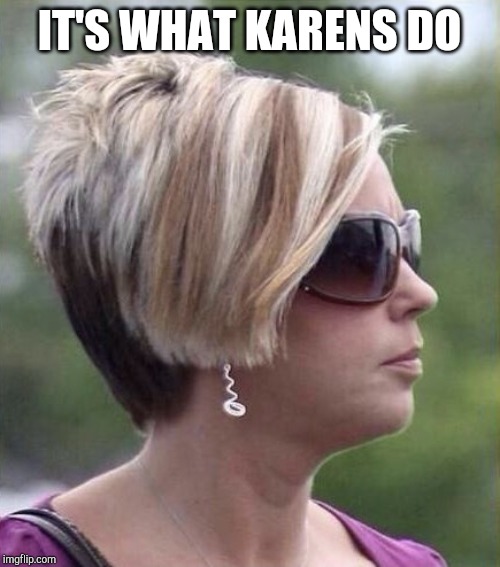 Let me speak to your manager haircut | IT'S WHAT KARENS DO | image tagged in let me speak to your manager haircut | made w/ Imgflip meme maker