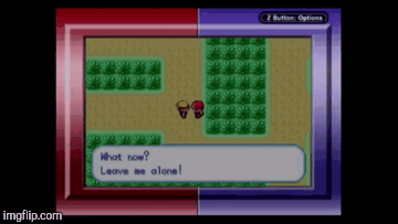 What now? | image tagged in gifs,pokmon fire red | made w/ Imgflip images-to-gif maker