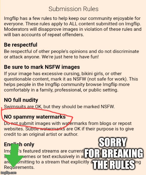 SORRY FOR BREAKING THE RULES | image tagged in memes,funny,imgflip,watermark,rules | made w/ Imgflip meme maker