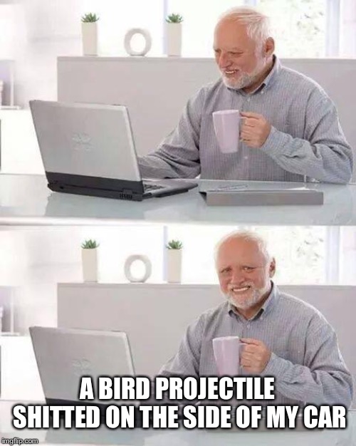 Hide the Pain Harold Meme | A BIRD PROJECTILE SHITTED ON THE SIDE OF MY CAR | image tagged in memes,hide the pain harold | made w/ Imgflip meme maker