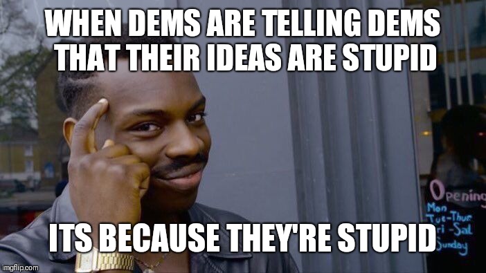 Roll Safe Think About It Meme | WHEN DEMS ARE TELLING DEMS THAT THEIR IDEAS ARE STUPID; ITS BECAUSE THEY'RE STUPID | image tagged in memes,roll safe think about it | made w/ Imgflip meme maker