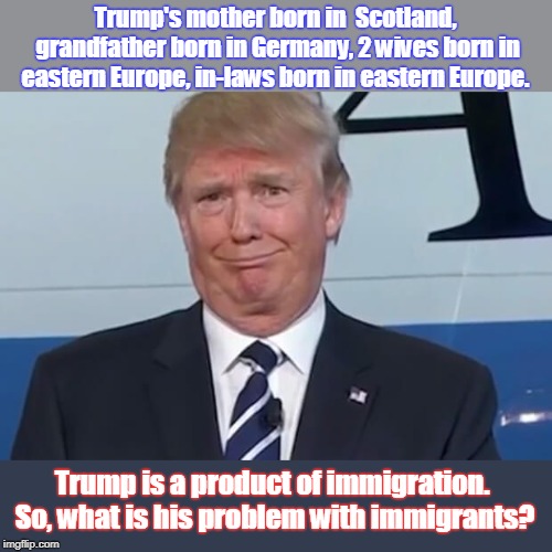 Trump is a product of immigration | Trump's mother born in  Scotland, grandfather born in Germany, 2 wives born in eastern Europe, in-laws born in eastern Europe. Trump is a product of immigration. So, what is his problem with immigrants? | image tagged in donald trump,immigrants,trump family immigrants,inlaws chain immigration,wives were immigrants,not a real american | made w/ Imgflip meme maker