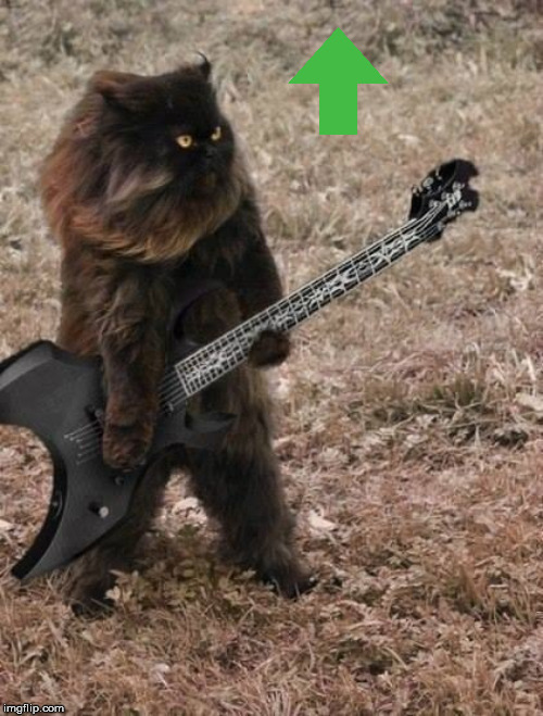 Death Metal Cat | image tagged in death metal cat | made w/ Imgflip meme maker