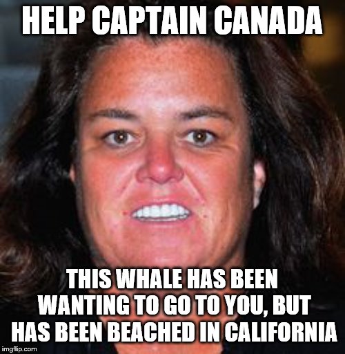 Rosie Pig | HELP CAPTAIN CANADA THIS WHALE HAS BEEN WANTING TO GO TO YOU, BUT HAS BEEN BEACHED IN CALIFORNIA | image tagged in rosie pig | made w/ Imgflip meme maker