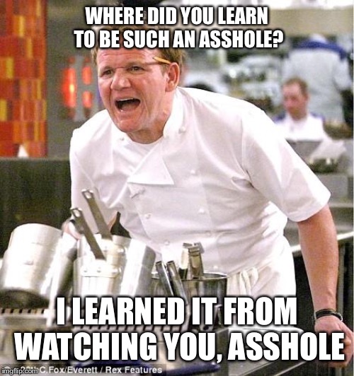 Touche Chef | WHERE DID YOU LEARN TO BE SUCH AN ASSHOLE? I LEARNED IT FROM WATCHING YOU, ASSHOLE | image tagged in memes,chef gordon ramsay,asshole,learn,call out | made w/ Imgflip meme maker