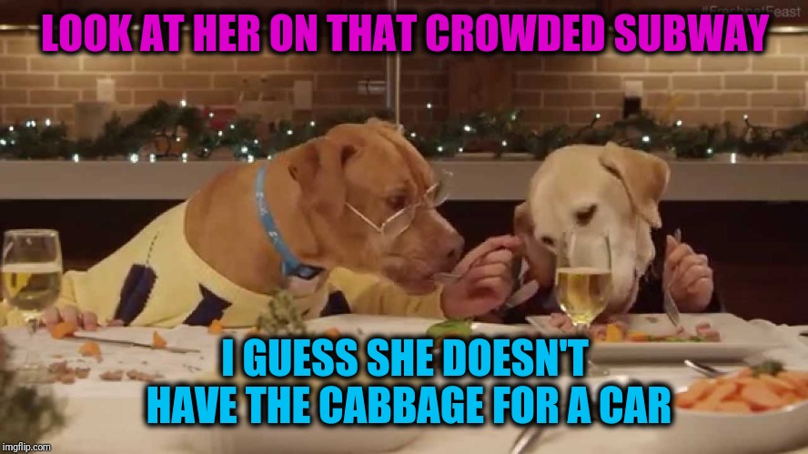dog dinner | LOOK AT HER ON THAT CROWDED SUBWAY I GUESS SHE DOESN'T HAVE THE CABBAGE FOR A CAR | image tagged in dog dinner | made w/ Imgflip meme maker