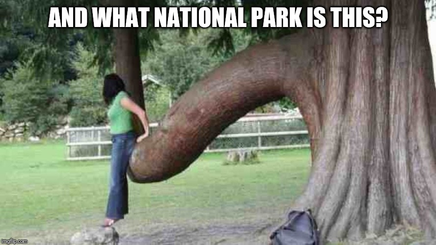 I'll bet they have a line | AND WHAT NATIONAL PARK IS THIS? | image tagged in penistry | made w/ Imgflip meme maker