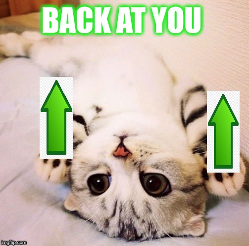 BACK AT YOU | made w/ Imgflip meme maker