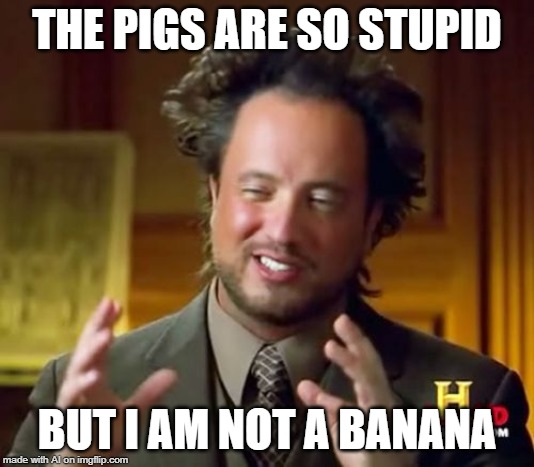 I'm following you. But no. A.I. Meme Week; May 26th to June 1st, a JumRum and EGOS event. | THE PIGS ARE SO STUPID; BUT I AM NOT A BANANA | image tagged in memes,ancient aliens,banana,pigs,ai meme week,stupid | made w/ Imgflip meme maker