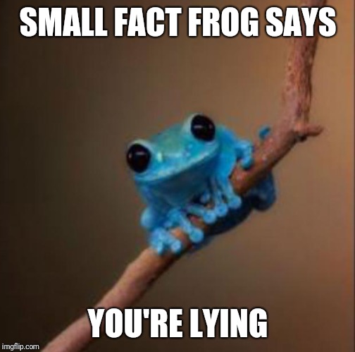 Small fact frog | SMALL FACT FROG SAYS YOU'RE LYING | image tagged in small fact frog | made w/ Imgflip meme maker