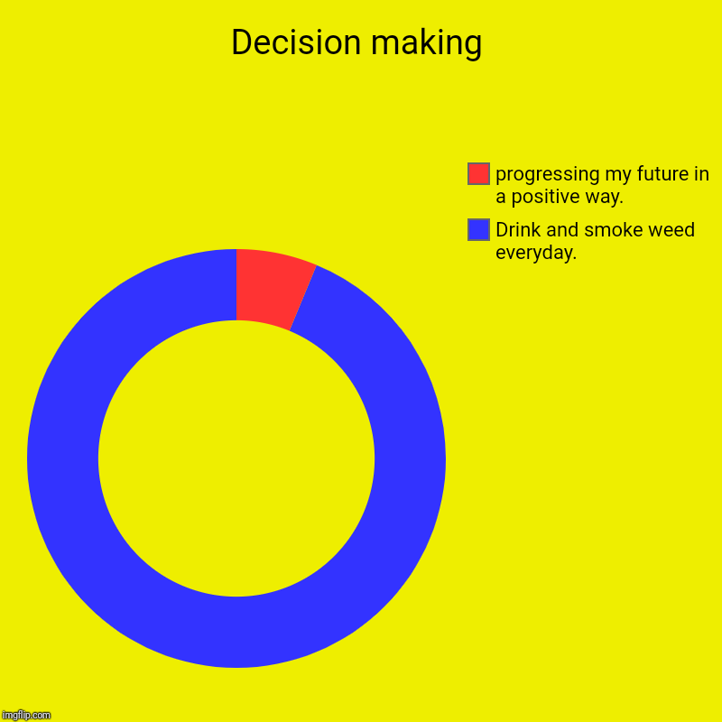 Decision making | Drink and smoke weed everyday. , progressing my future in a positive way. | image tagged in charts,donut charts | made w/ Imgflip chart maker