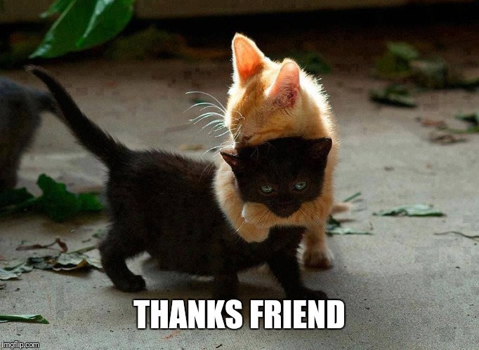 kitten hug | THANKS FRIEND | image tagged in kitten hug | made w/ Imgflip meme maker