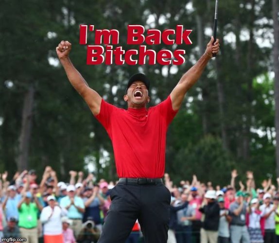 2019 Masters Champion | image tagged in tiger woods | made w/ Imgflip meme maker