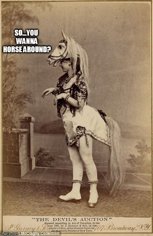 HORSE | SO...YOU WANNA HORSE AROUND? | image tagged in horse | made w/ Imgflip meme maker
