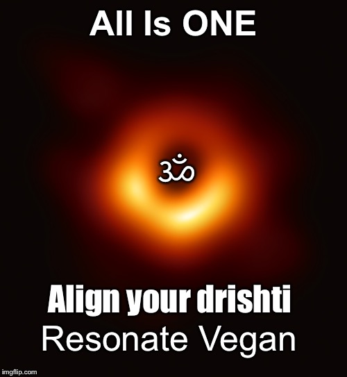 Vibes | All Is ONE; ॐ; Align your drishti; Resonate Vegan | image tagged in blackhole,vibes,vegan4life,yoga,yogi,quantum physics | made w/ Imgflip meme maker