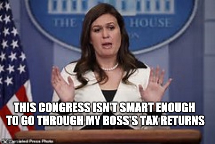 sarah huckabee sanders  | THIS CONGRESS ISN'T SMART ENOUGH TO GO THROUGH MY BOSS'S TAX RETURNS | image tagged in sarah huckabee sanders | made w/ Imgflip meme maker