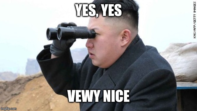 Kim Jong Un Binoculars  | YES, YES VEWY NICE | image tagged in kim jong un binoculars | made w/ Imgflip meme maker