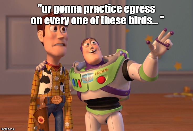 X, X Everywhere | "ur gonna practice egress on every one of these birds... " | image tagged in memes,x x everywhere | made w/ Imgflip meme maker
