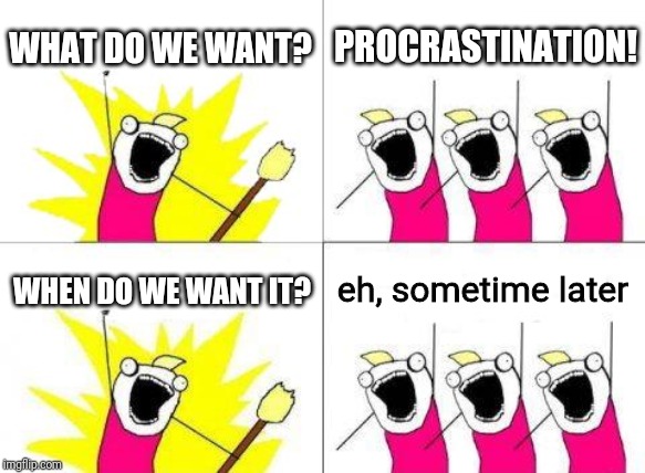What do we want | WHAT DO WE WANT? PROCRASTINATION! WHEN DO WE WANT IT? eh, sometime later | image tagged in memes,what do we want,procrastination | made w/ Imgflip meme maker