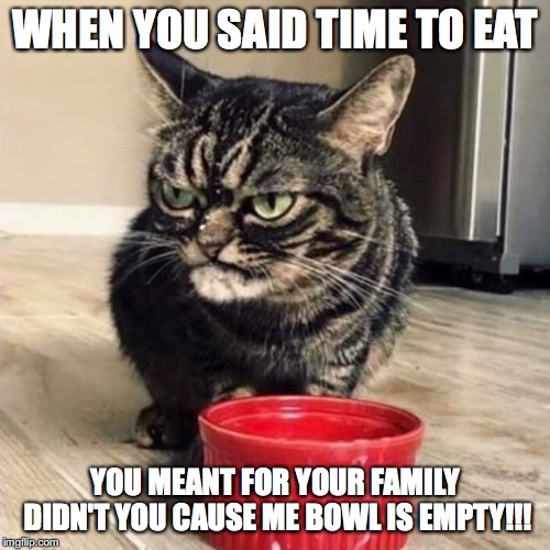 Mad Cat | WHEN YOU SAID TIME TO EAT; YOU MEANT FOR YOUR FAMILY DIDN'T YOU CAUSE ME BOWL IS EMPTY!!! | image tagged in mad cat | made w/ Imgflip meme maker