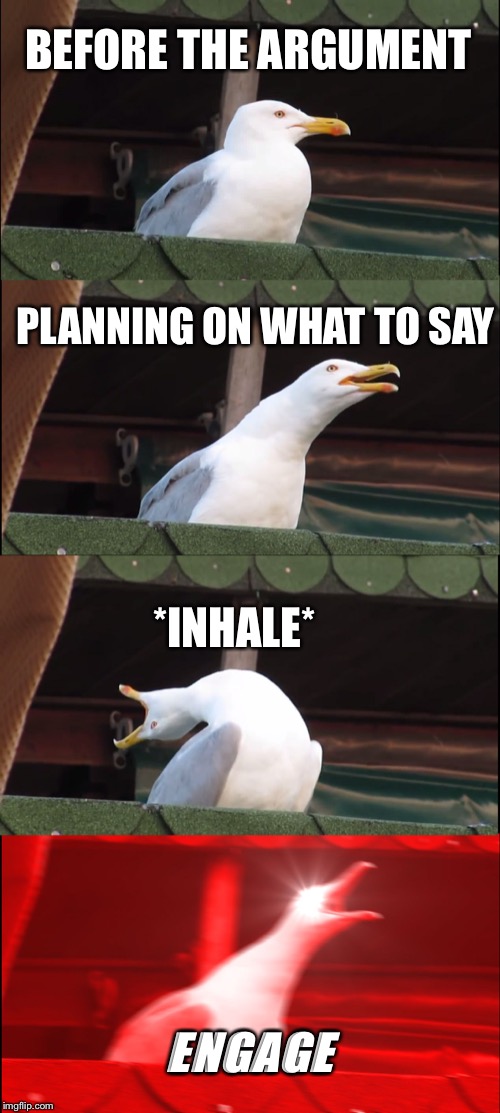 Inhaling Seagull Meme | BEFORE THE ARGUMENT; PLANNING ON WHAT TO SAY; *INHALE*; ENGAGE | image tagged in memes,inhaling seagull | made w/ Imgflip meme maker