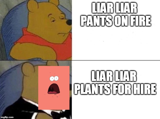 Tuxedo Winnie The Pooh | LIAR LIAR PANTS ON FIRE; LIAR LIAR PLANTS FOR HIRE | image tagged in tuxedo winnie the pooh | made w/ Imgflip meme maker