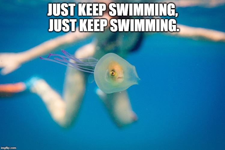 JUST KEEP SWIMMING, JUST KEEP SWIMMING. | image tagged in fish | made w/ Imgflip meme maker