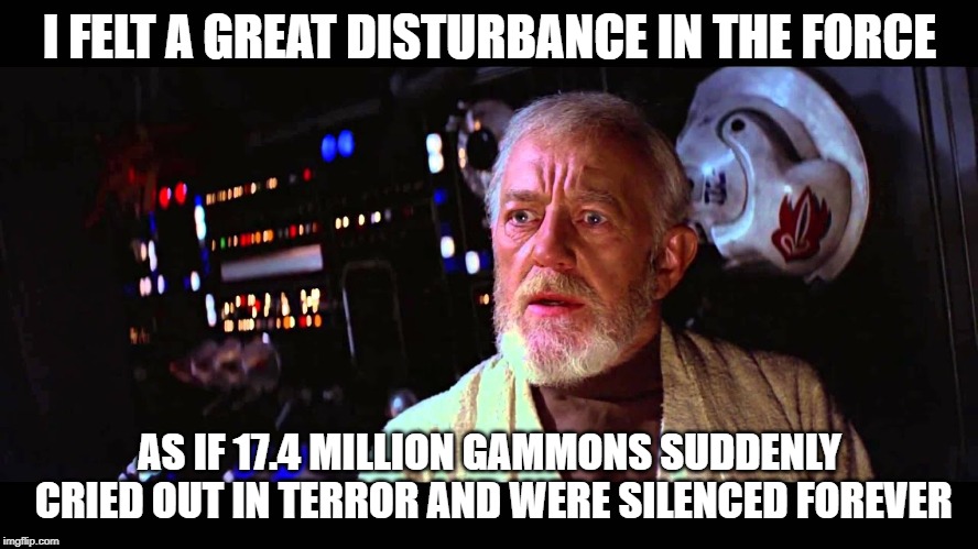 dead brexit | I FELT A GREAT DISTURBANCE IN THE FORCE; AS IF 17.4 MILLION GAMMONS SUDDENLY CRIED OUT IN TERROR AND WERE SILENCED FOREVER | image tagged in brexit | made w/ Imgflip meme maker