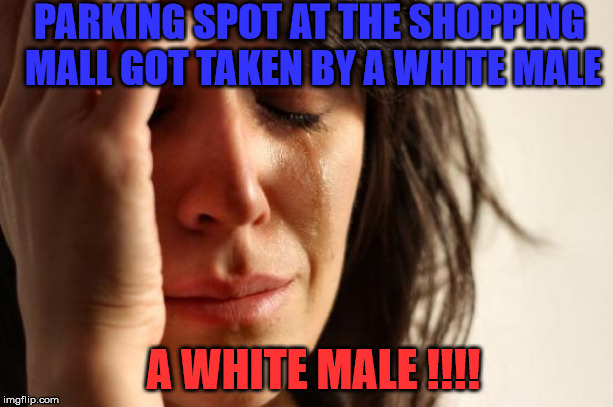 First World Problems | PARKING SPOT AT THE SHOPPING MALL GOT TAKEN BY A WHITE MALE; A WHITE MALE !!!! | image tagged in memes,first world problems | made w/ Imgflip meme maker