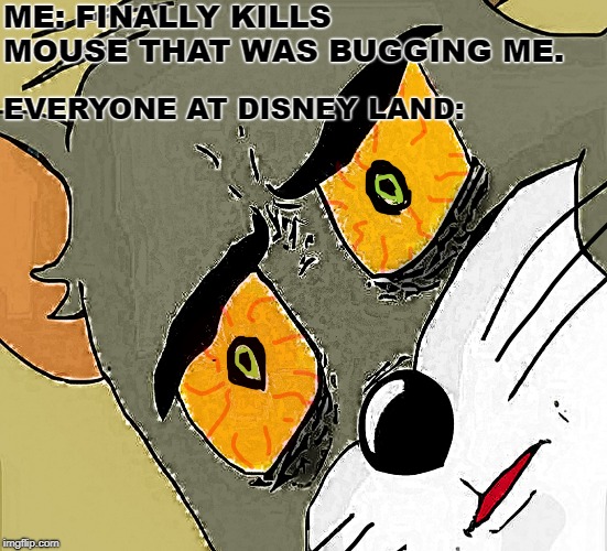 Unsettled Tom | ME: FINALLY KILLS MOUSE THAT WAS BUGGING ME. EVERYONE AT DISNEY LAND: | image tagged in unsettled tom | made w/ Imgflip meme maker