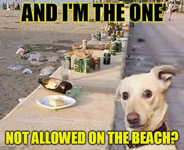 AND I'M THE ONE; NOT ALLOWED ON THE BEACH? | made w/ Imgflip meme maker