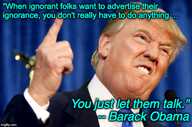 Donald Trump | "When ignorant folks want to advertise their ignorance, you don't really have to do anything ... You just let them talk."          -- Barack Obama | image tagged in donald trump | made w/ Imgflip meme maker