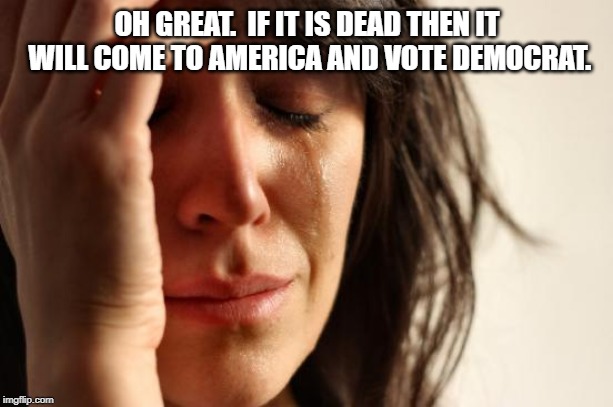 First World Problems Meme | OH GREAT.  IF IT IS DEAD THEN IT WILL COME TO AMERICA AND VOTE DEMOCRAT. | image tagged in memes,first world problems | made w/ Imgflip meme maker