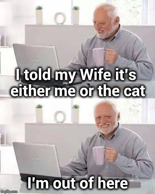 Hide the Pain Harold Meme | I told my Wife it's either me or the cat I'm out of here | image tagged in memes,hide the pain harold | made w/ Imgflip meme maker