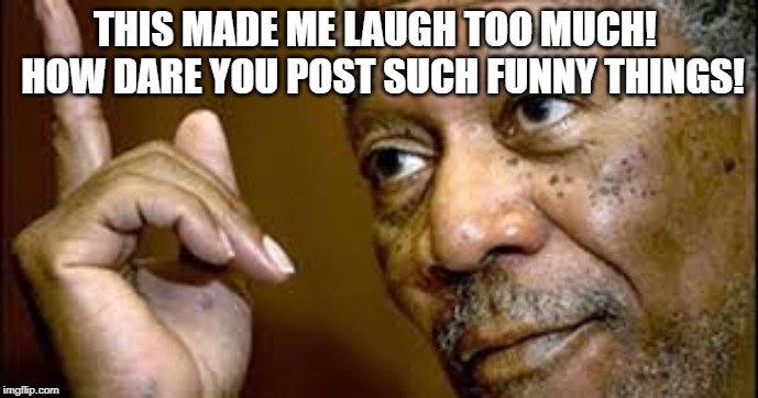 he is right you know  | THIS MADE ME LAUGH TOO MUCH!  HOW DARE YOU POST SUCH FUNNY THINGS! | image tagged in he is right you know | made w/ Imgflip meme maker