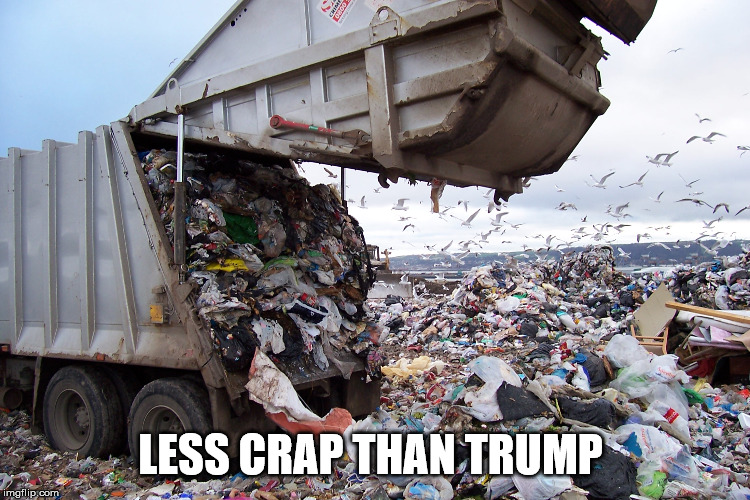 garbage dump | LESS CRAP THAN TRUMP | image tagged in garbage dump | made w/ Imgflip meme maker